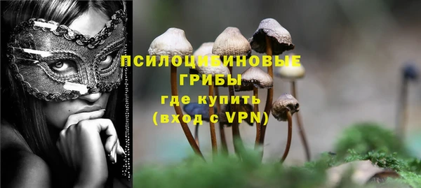 прущий лед Гусь-Хрустальный