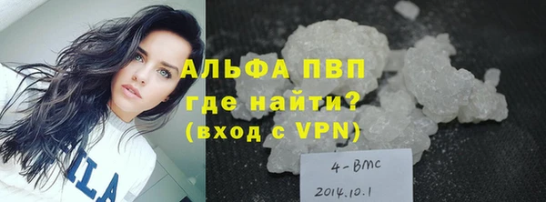 гидра Гусев