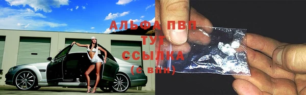 гидра Гусев