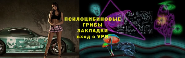 гидра Гусев