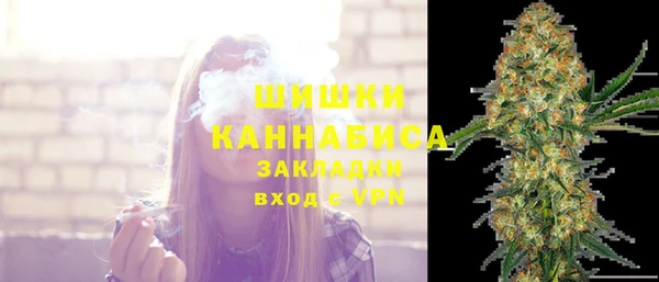 гидра Гусев