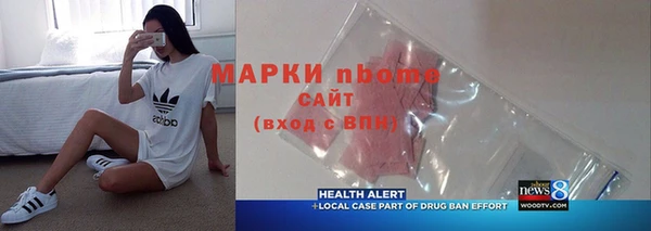 гидра Гусев