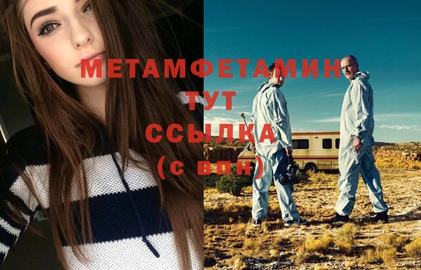 гидра Гусев