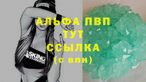 гидра Гусев