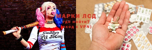 гидра Гусев