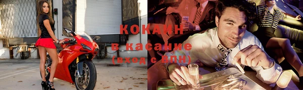гидра Гусев
